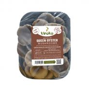 QUEEN OYSTER  MUSHROOM