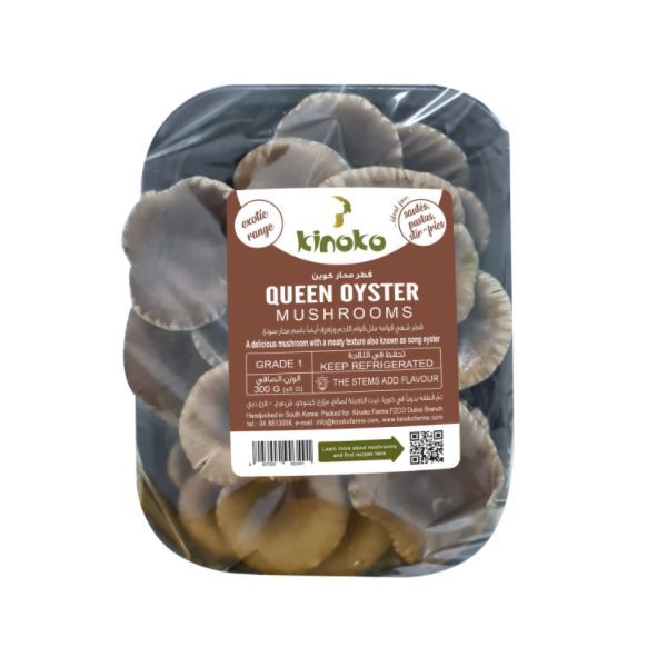 QUEEN OYSTER MUSHROOM